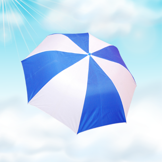 Two Fold Umbrella 21 Inch