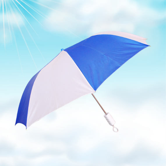 Two Fold Umbrella 21 Inch